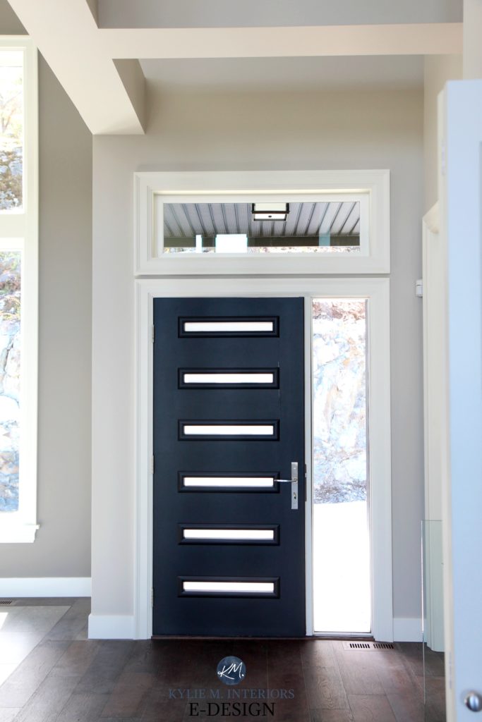 Modern style front door with windows painted black, dark wood flooring. Repose Gray walls. Kylie M INteriors Edesign, online paint colors