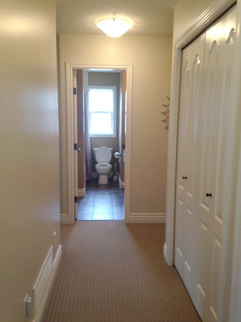 Bathroom and hallway before remodel