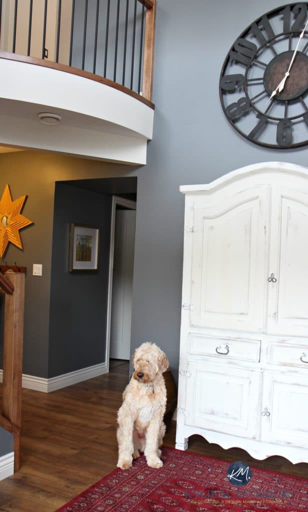 2 storey entryway or foyer with golden doodle, wood and metal railing, Benjamin Moore Steel Wool feature or accent wall by Kylie M Interiors