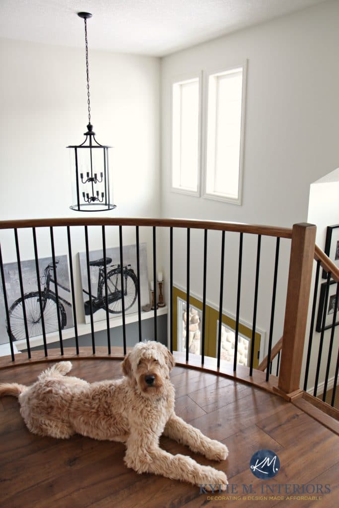 Curved landing at the top of the stairs with chandelier, golden doodle and Sherwin Williams Creamy by Kylie M INteriors