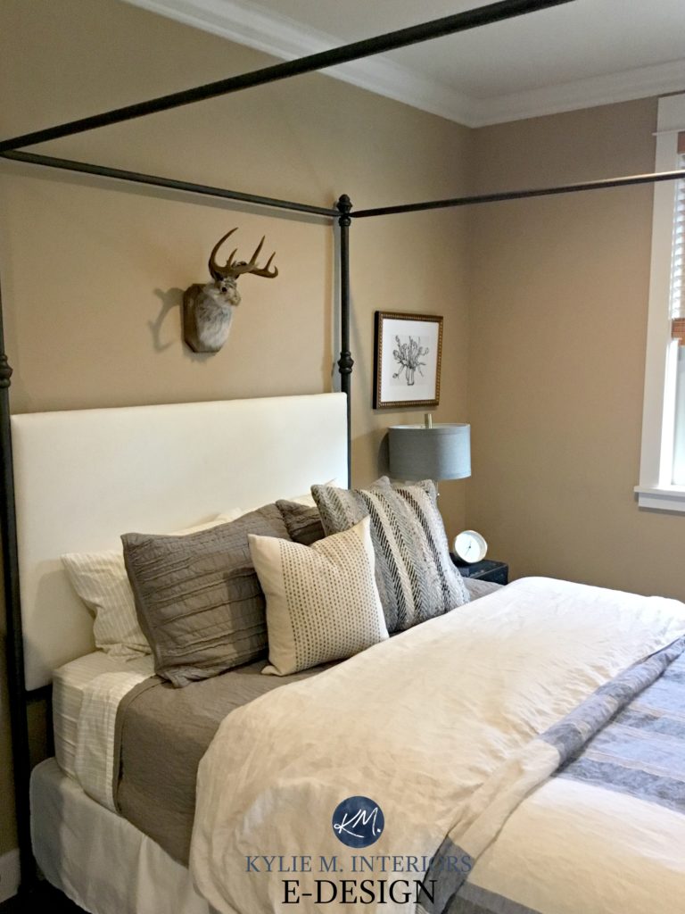 Benjamin Moore Palm Desert Tan. Guest bedroom. Kylie M INteriors E-design, before image. client design
