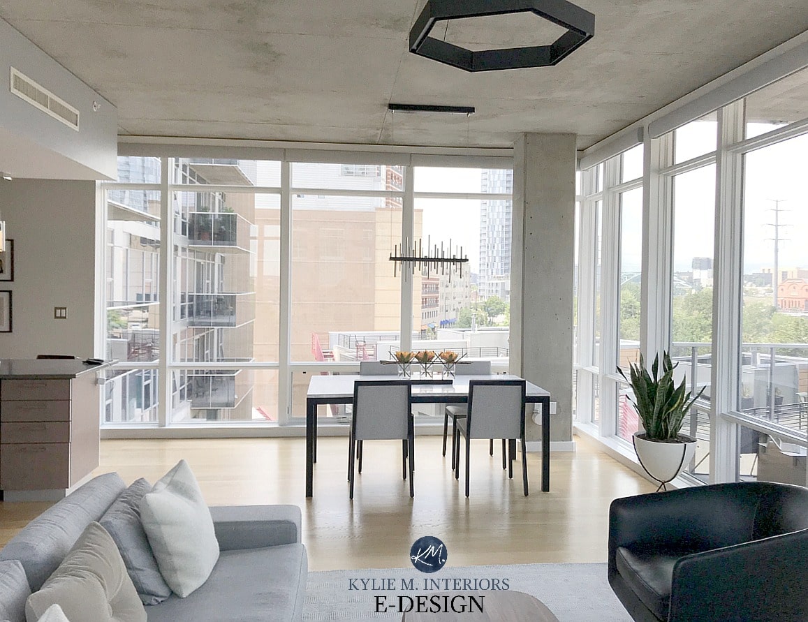 Benjamin Moore Balboa Mist, masculine condo in a style that suits a male or men. Open Layout with warm gray sofa. Kylie M Interiors Online Paint Colour advice and decor blog