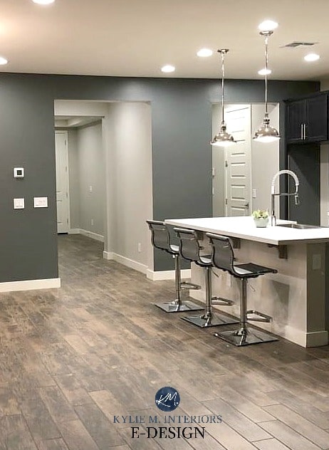 Dark basement room best paint colours, Sherwin Williams Grizzle Gray, Agreeable Gray, tile look wood floor. Kylie M Interiors Edesign, online paint color consulting (1)