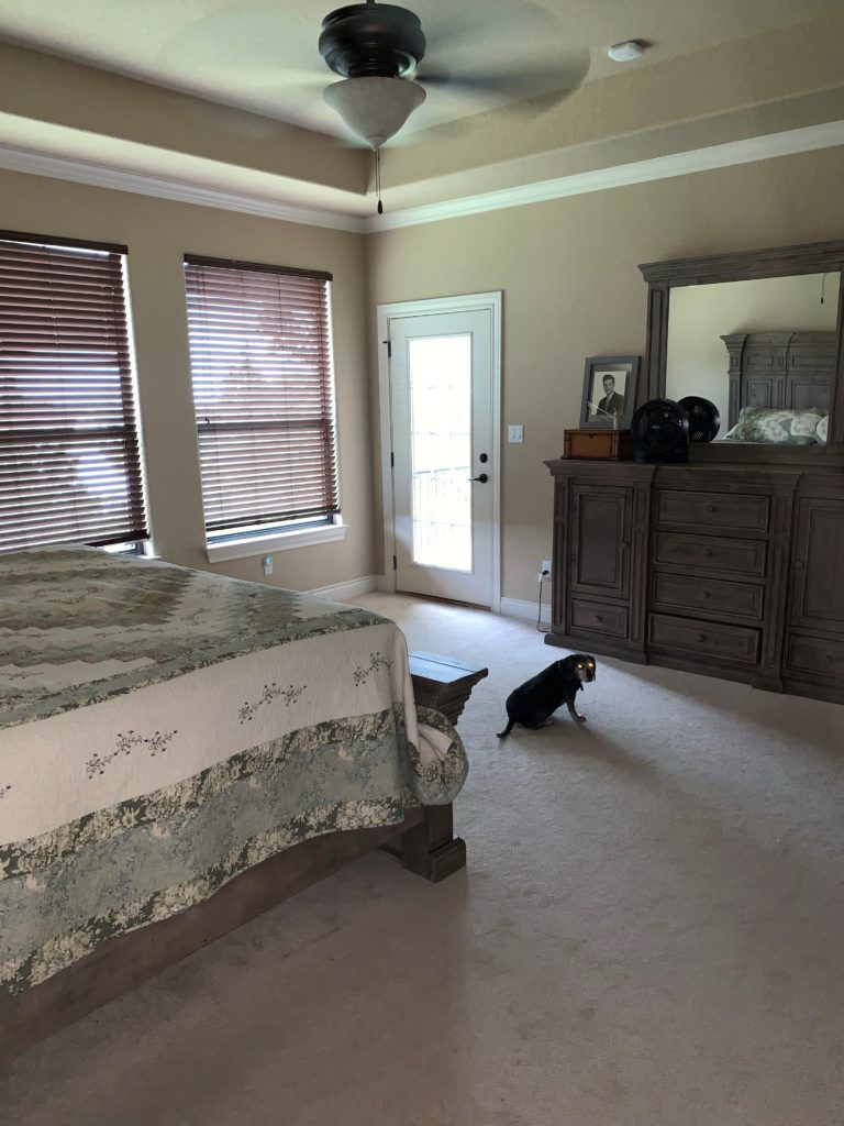 bedroom before being painted, beige carpet (3)