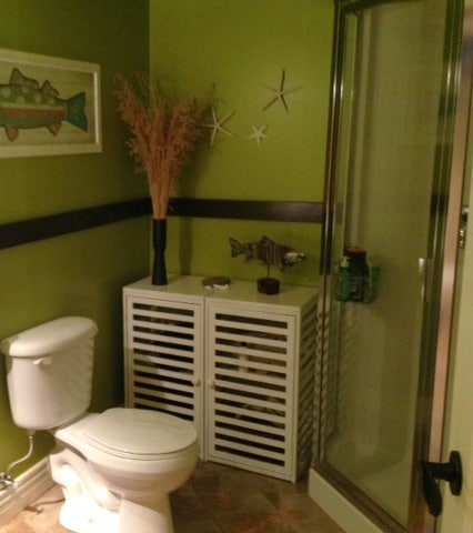 green bathroom before remodel
