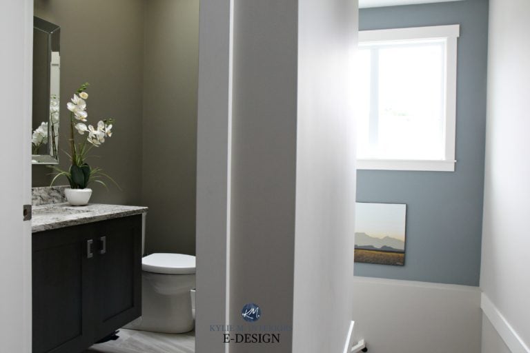 Sherwin Williams Colonnade Gray (7641): Undertones, LRV, & Real-Home ...