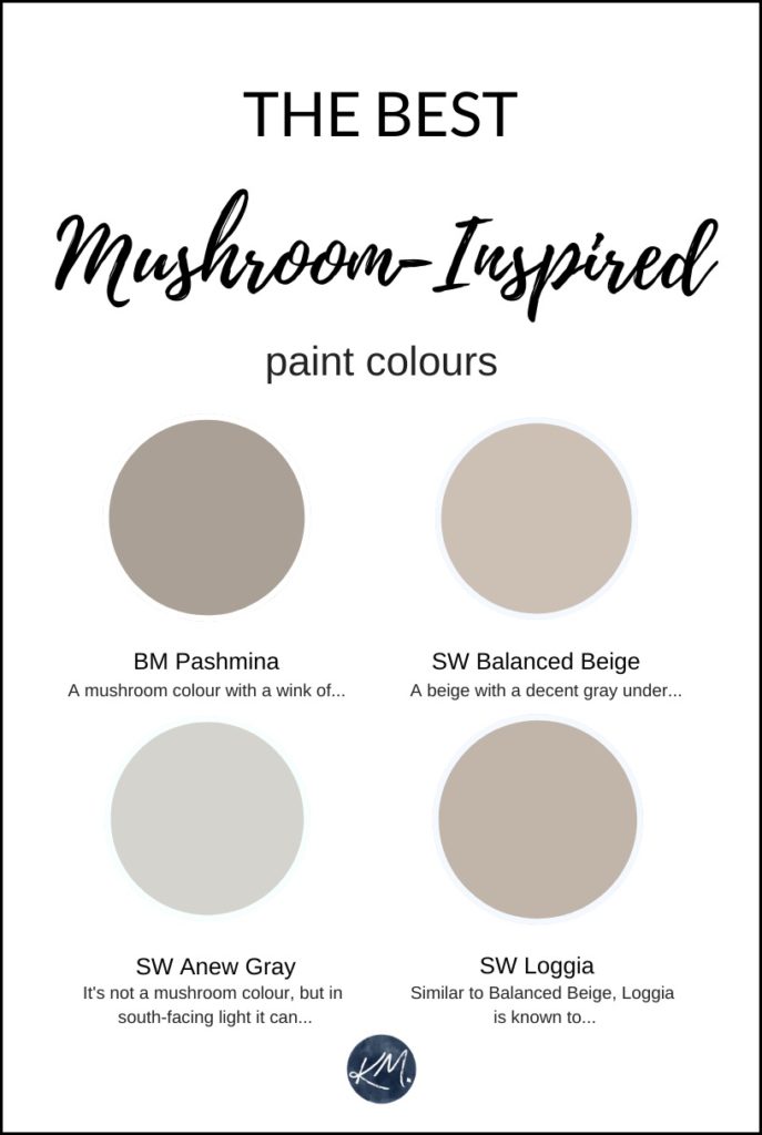 The best mushroom, taupe greige paint colours from Benjamin and Sherwin. Kylie M Interiors, Virtual colour consultant and E-design expert. Diy blog