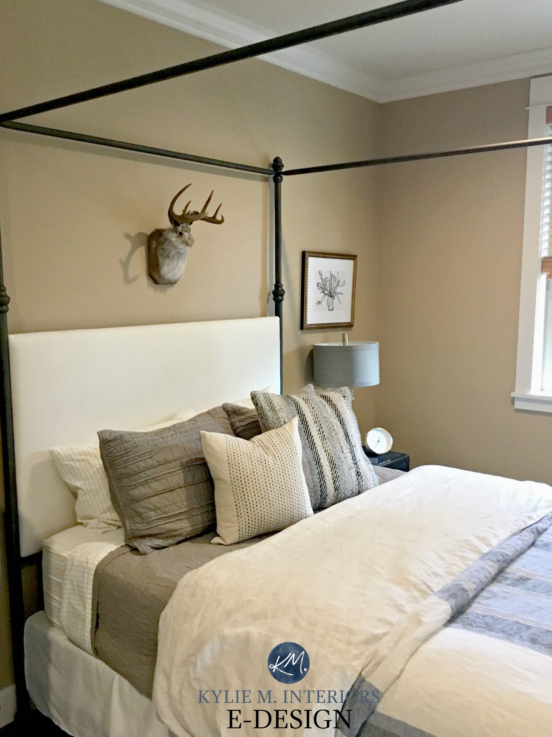 Rustic cozy guest bedroom. How to make a bedroom inviting, cushions and home decor. Kylie M Interiors Edesign, online paint color consulting. Palm Desert Tan walls