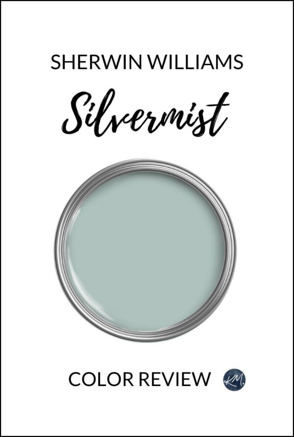 Sherwin Williams Crushed Ice 7647: Paint Color Review