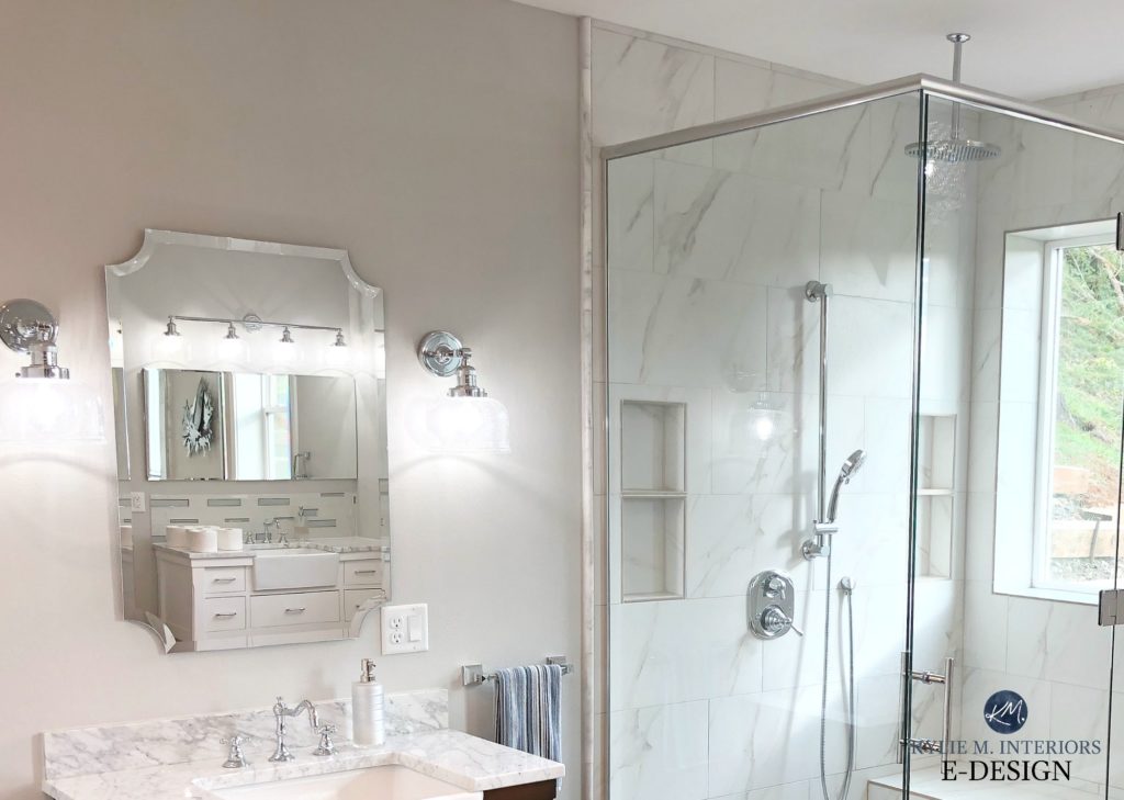 Sherwin Williams Big Chill, best gray paint color. Marble countertop and walk in shower tile in bathroom. Kylie M INteriors Edesign, online paint color consulting blog