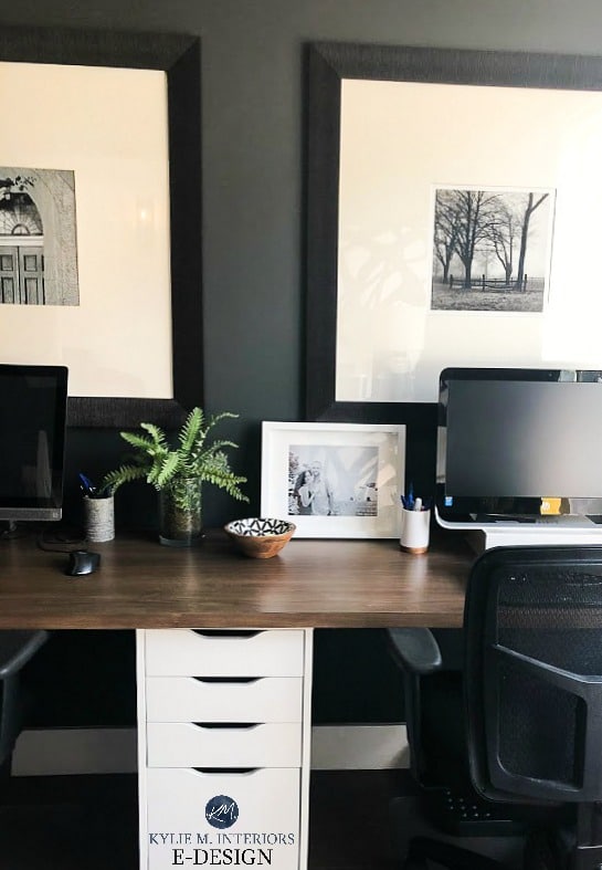 Sherwin Williams Iron Ore, best dark black paint color in home office with Ikea. Kylie M Interiors Edesign, online paint colour consultation