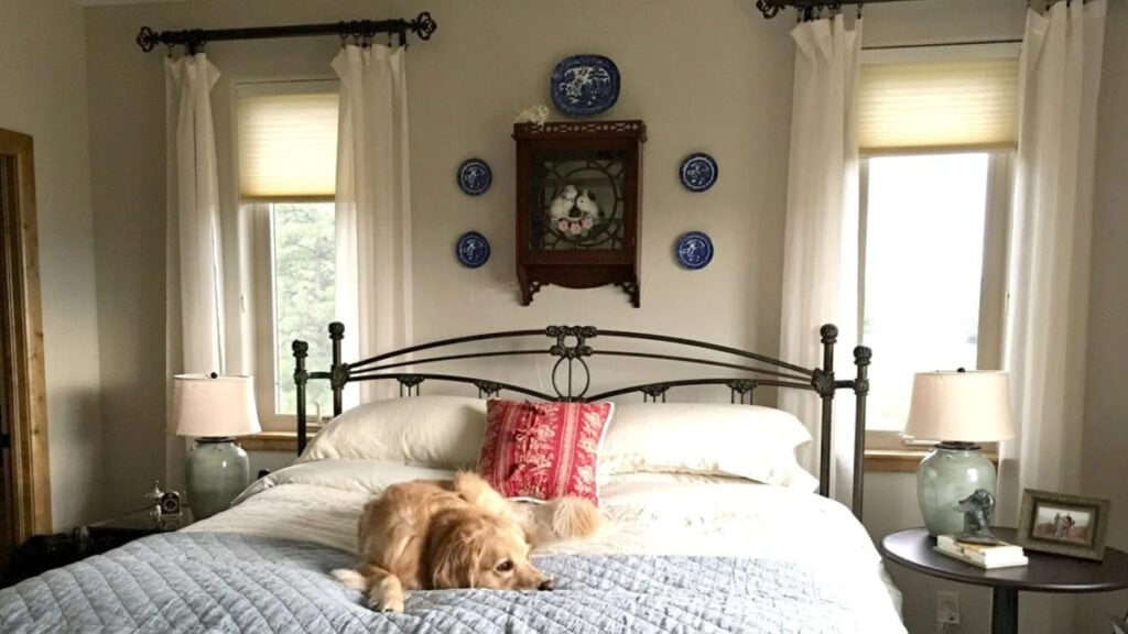 Sherwin Williams Accessible Beige bedroom walls with ring and clip drapes hung well above the window trim