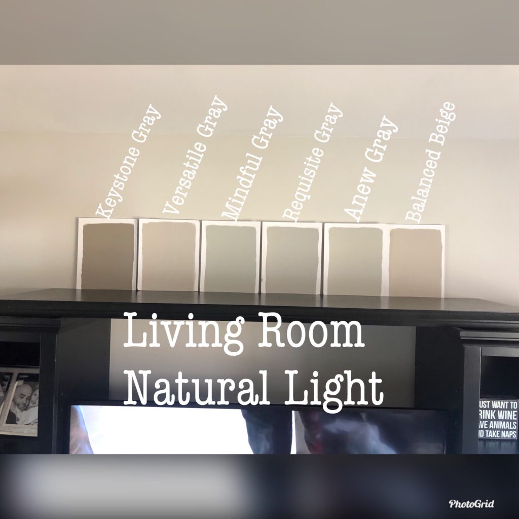 Sherwin Williams Balanced Beige compared to Anew Gray, Mindful Gray and other neutrals in natural light. Kylie M INteriors Edesign