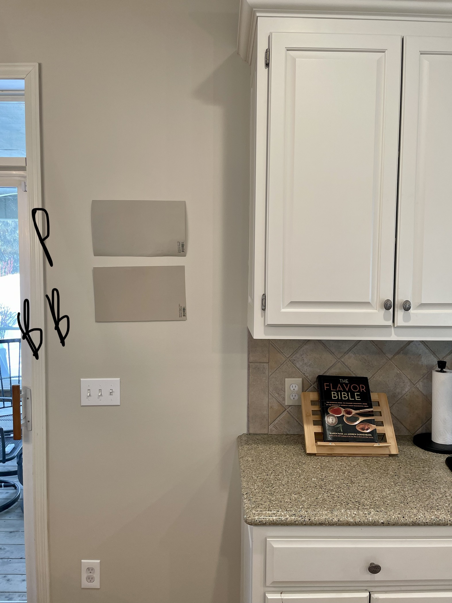 Benjamin Moore Pashmina AF-100: Paint Color Review