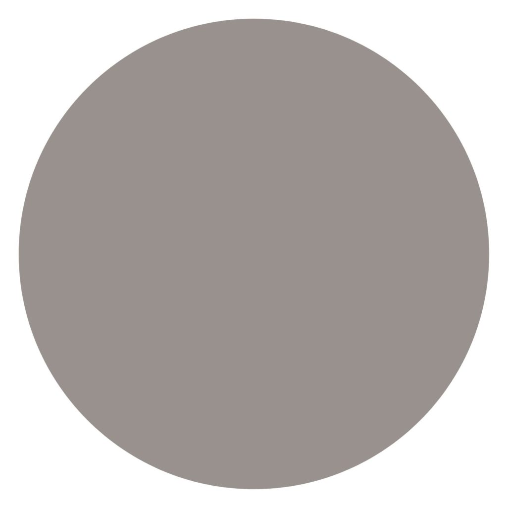 Benjamin Moore Stardust, dark taupe greige paint colour, Kylie M Interiors, online paint color consulting