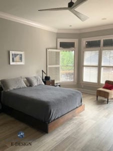 Sherwin Williams Colonnade Gray (7641): Undertones, LRV, & Real-Home ...