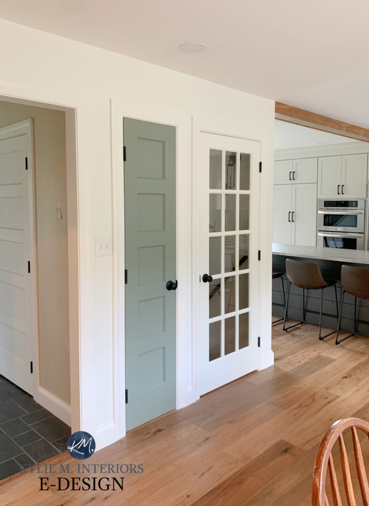 Magnolia Silverado Sage painted on door with wood floor, Sherwin Williams Pure White walls and trim, modern farmhouse style home. Kylie M INteriors Edesign