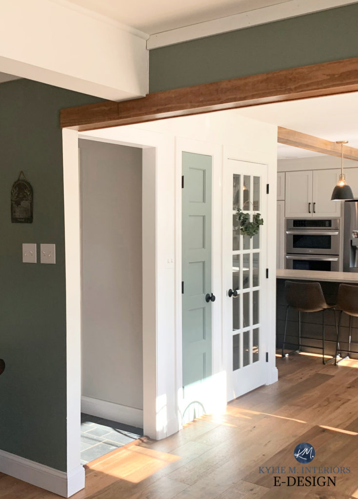 Silverado Sage by Magnolia paint on door and green walls with Sherwin Williams Pure White walls and trim. Agreeable Gray cabinets, Urbane island. Kylie M Interiors Edesign,