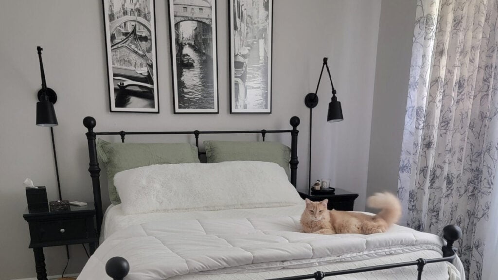 Behr Chic Gray is similar to On the R