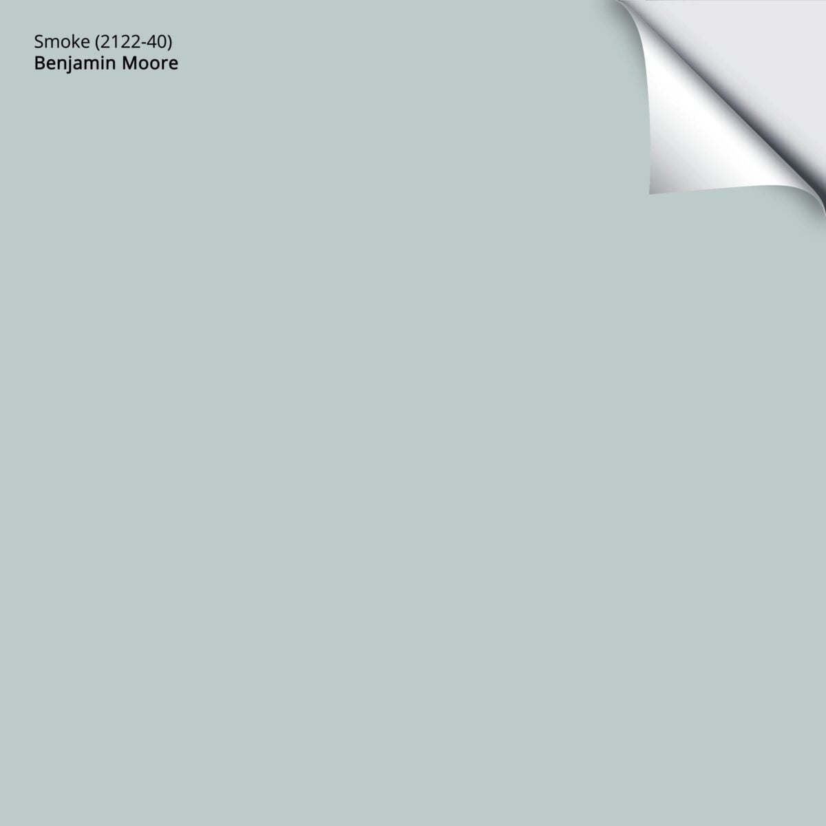 Benjamin Moore Smoke 2122-40: Undertones, Real Rooms, & More