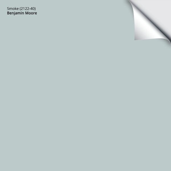 BENJAMIN MOORE SMOKE 2122-40: Paint Color Review - Kylie M Interiors