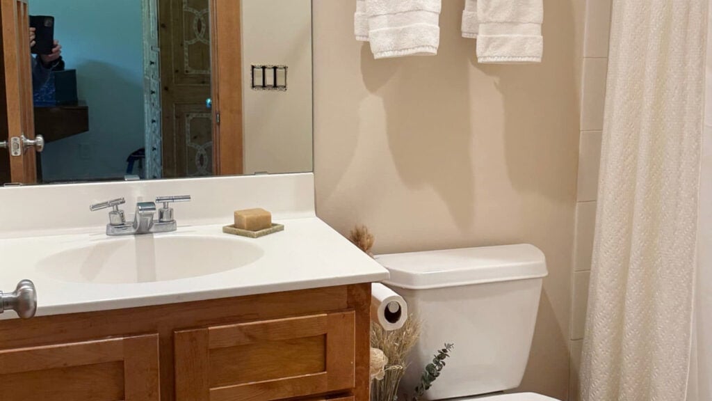 Sherwin Williams Divine White, popular beige in bathroom with wood vanity