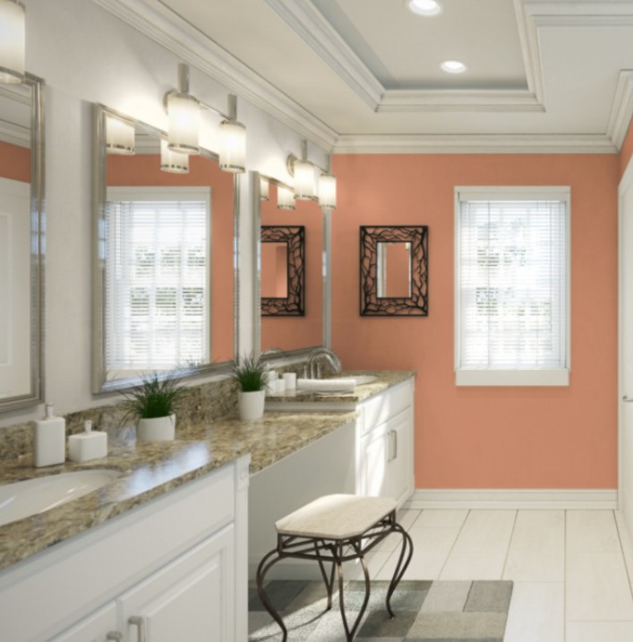 PERSIMMON, SHERWIN WILLIAMS COLOR OF THE YEAR 2024. KYLIE M INTERIORS, IN BATHROOM WITH GRANITE COUNTERTOP