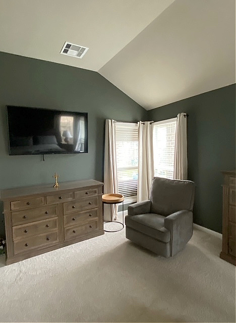 Sherwin Williams Night Owl, Stone Hearth on ceiling. Dark green paint color moody bedroom