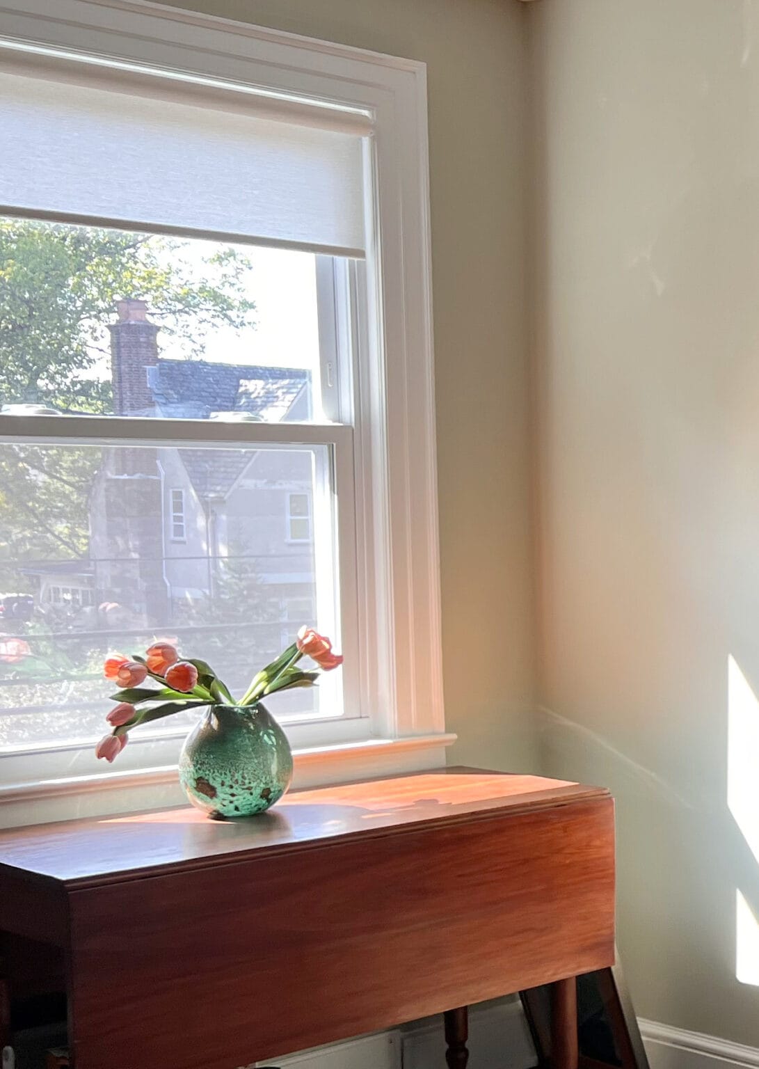 The 9 Best Dill Green Paint Colors: Nature's Choice for 2026