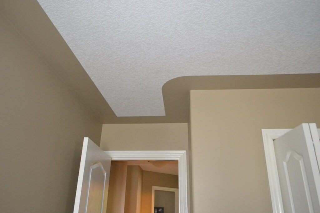 What to paint ceiling witih 6 of paintable border around textured area, step down or tray ceiling