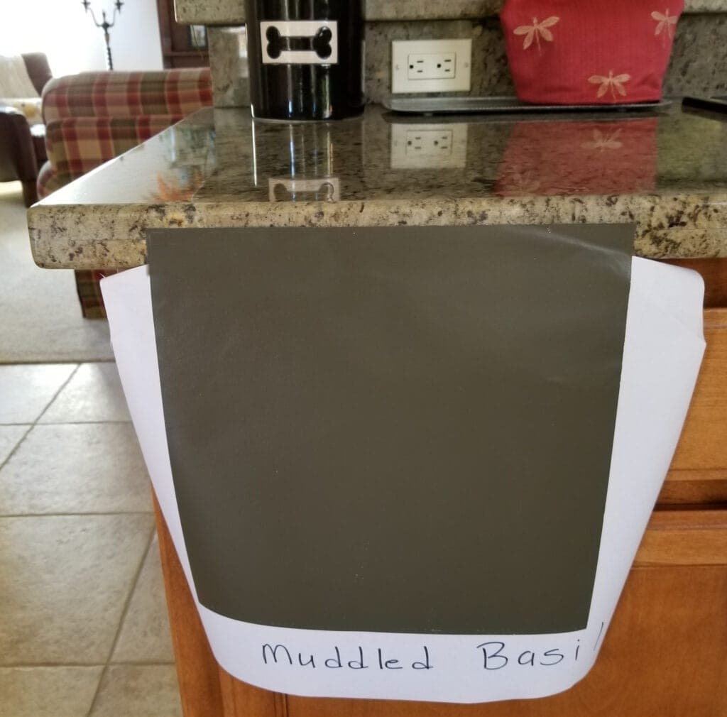 Sherwin Williams Muddled Basil with warm granite countertop, dark greige with green