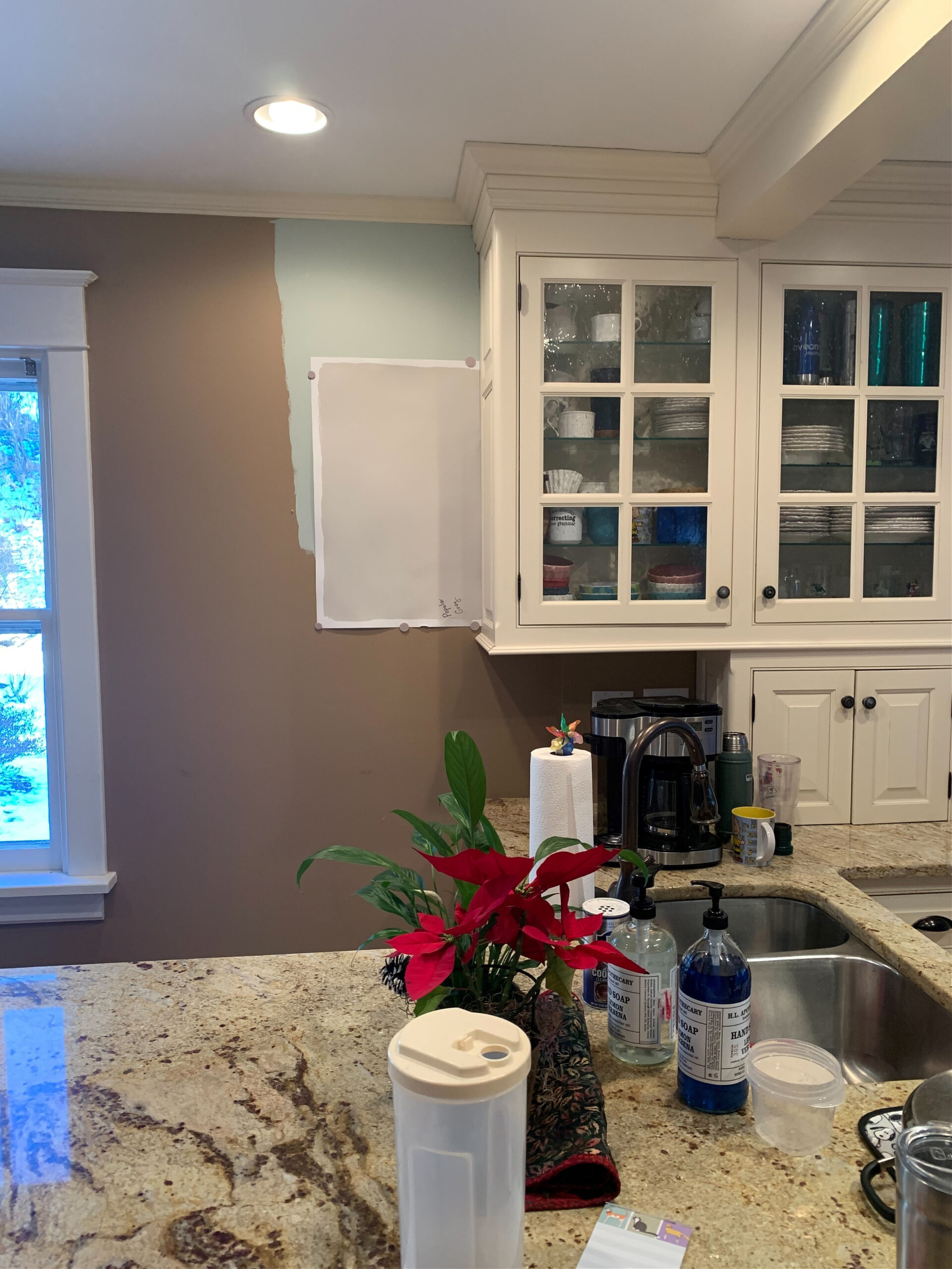 Sherwin Williams Alpaca SW 7022: Paint Color Review