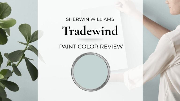 Sherwin Williams Tradewind paint color review