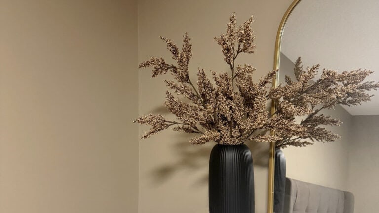 Sherwin Williams Stone Lion, popular beige in walls with home decor