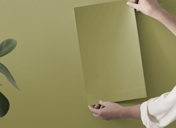 The 9 Best Dill Green Paint Colors: Nature's Choice for 2026