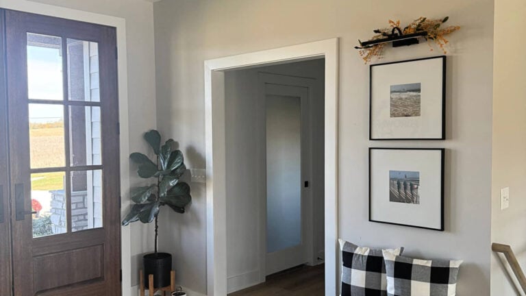 Sherwin Williams Crushed Ice on entrywy walls with wood front door and home decor