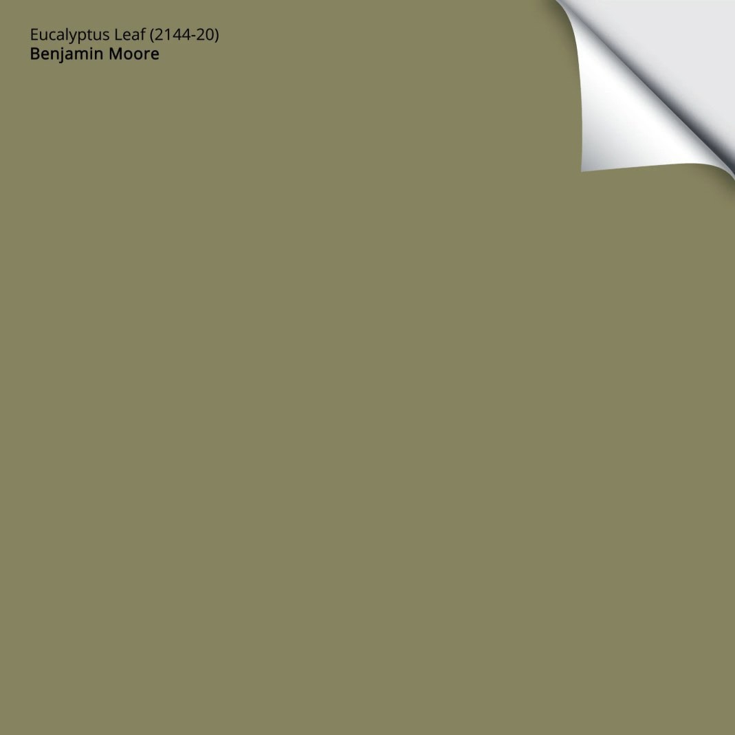 The 9 Best Dill Green Paint Colors: Nature's Choice for 2026