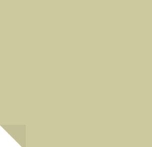 The 9 Best Dill Green Paint Colors: Nature's Choice for 2026