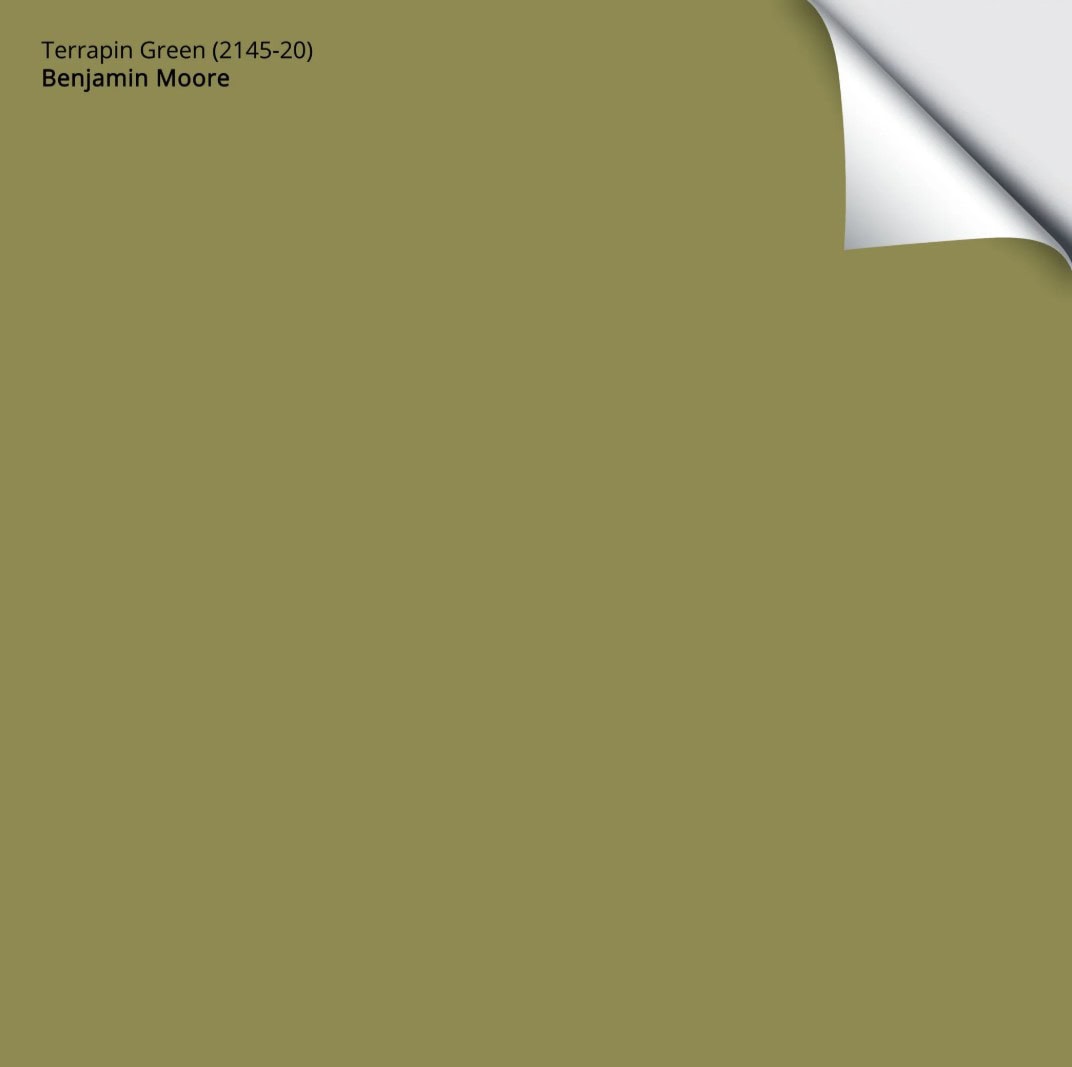 The 9 Best Dill Green Paint Colors: Nature's Choice for 2026