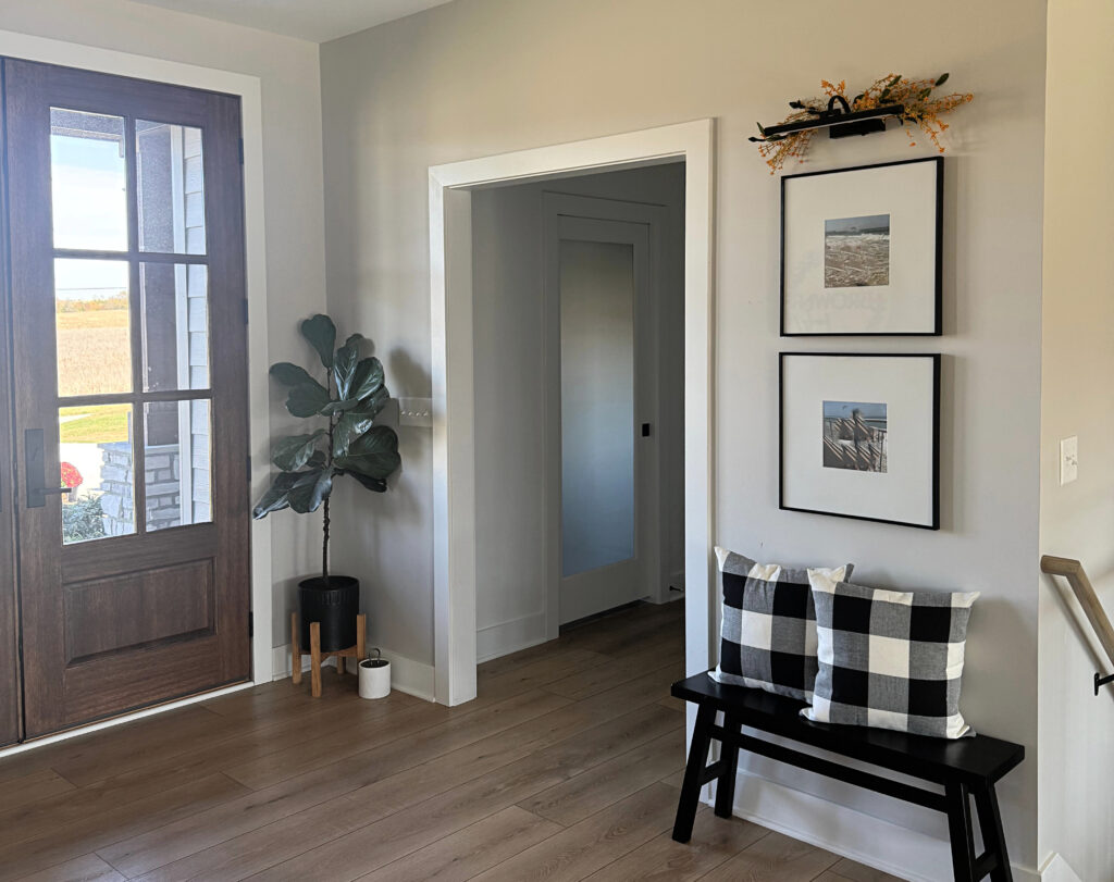 Sherwin Williams cRushed Ice, wood stained front door, Pure White trim, home decor, wood or laminate flooring (1)