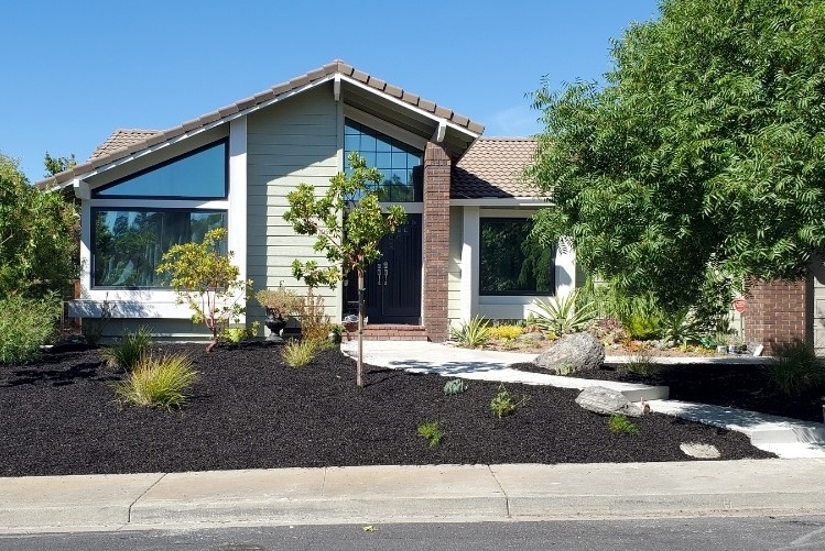 Terracotta tile roof, mid-century style exterior, black windows, Sherwin Williams Svelte Green siding color, dark blue-black front door, cream trim