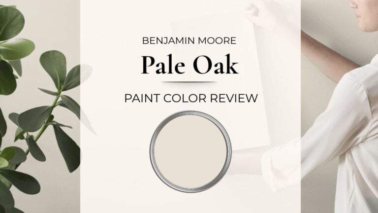 Benjamin Moore Pale Oak paint color review with undertones, real home images, and best uses