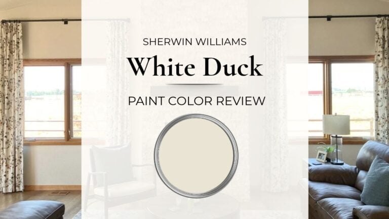 Paint Color review of Sherwin Williams White Duck, real home images, undertones, and more