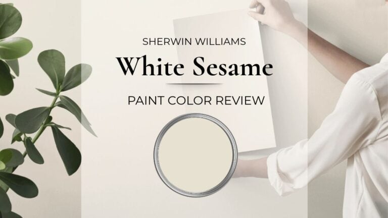 Sherwin Williams White Sesame paint color review with real home images, light, undertones, and more