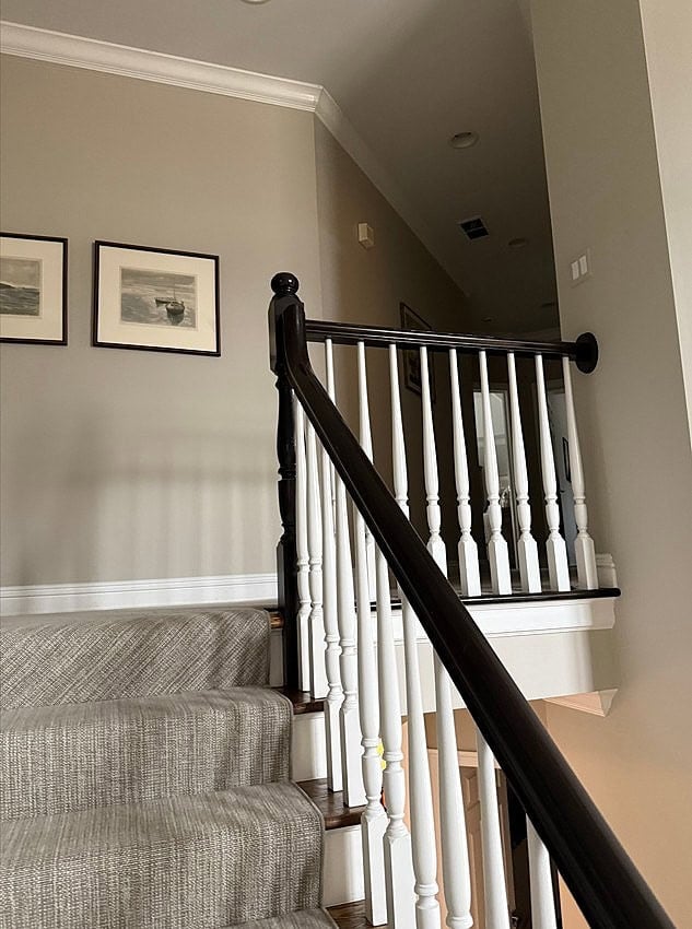 North facing light in a Staircase with taupe carpet runner. Black hand railing with white painted spindles, gray paint color on walls
