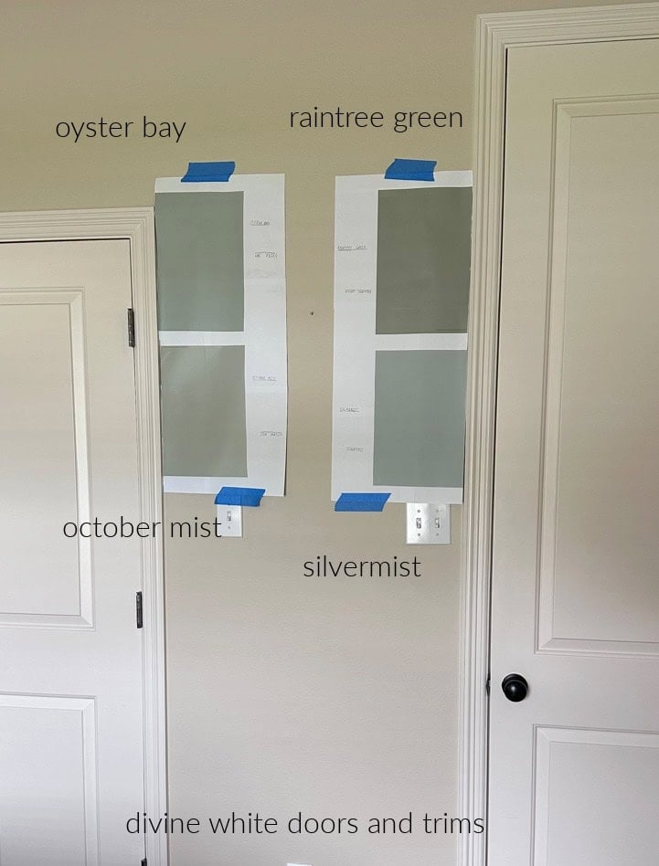 Sherwin Williams Divine White trim, BEnjamin Moore Samplize samples of Raintree Green, October Mist, Silvermist, and Oyster Bay - green blends