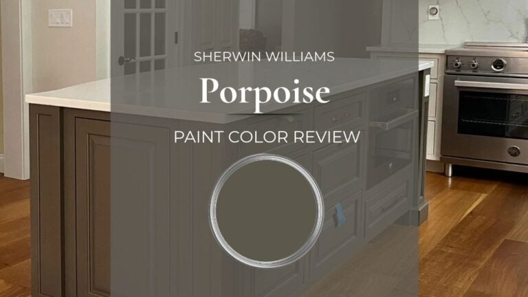 Sherwin Williams Porpoise paint color review with undertones and real home images