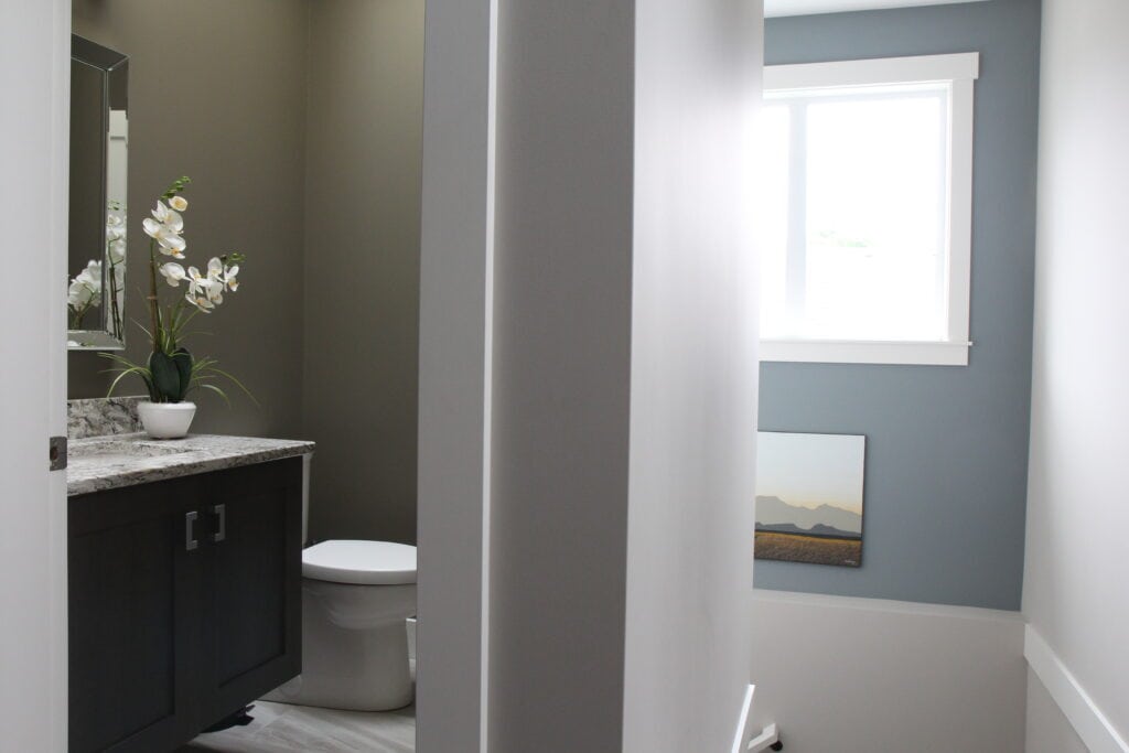 Small bathroom painted Sherwin Williams Anonymous, accent wall in Benjamin Moore Gibraltar Cliffs, main color is Colonnade Gray, east-facing exposure