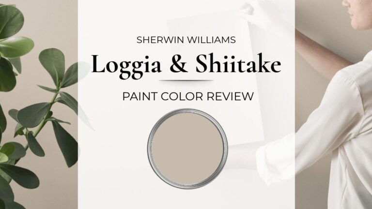 Sherwin Williams Loggia and Shiitake paint color review with real home images