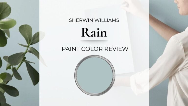 Sherwin Williams Rain paint color review with real home images, comparisons, and best uses